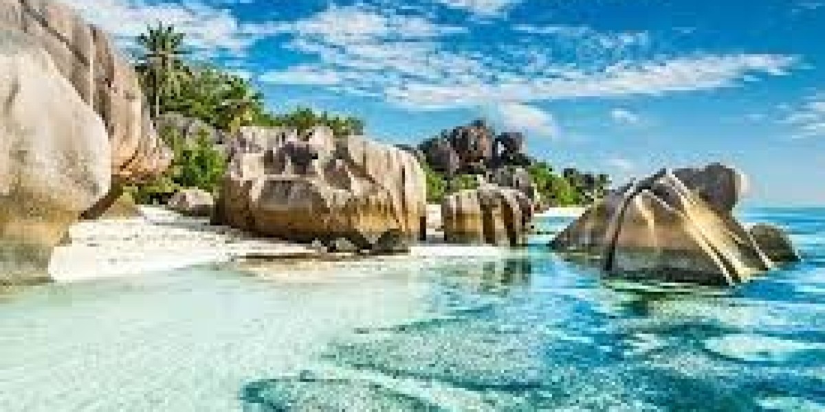 How to Apply for a Madagascar e-Visa from Tajikistan: A Complete Guide