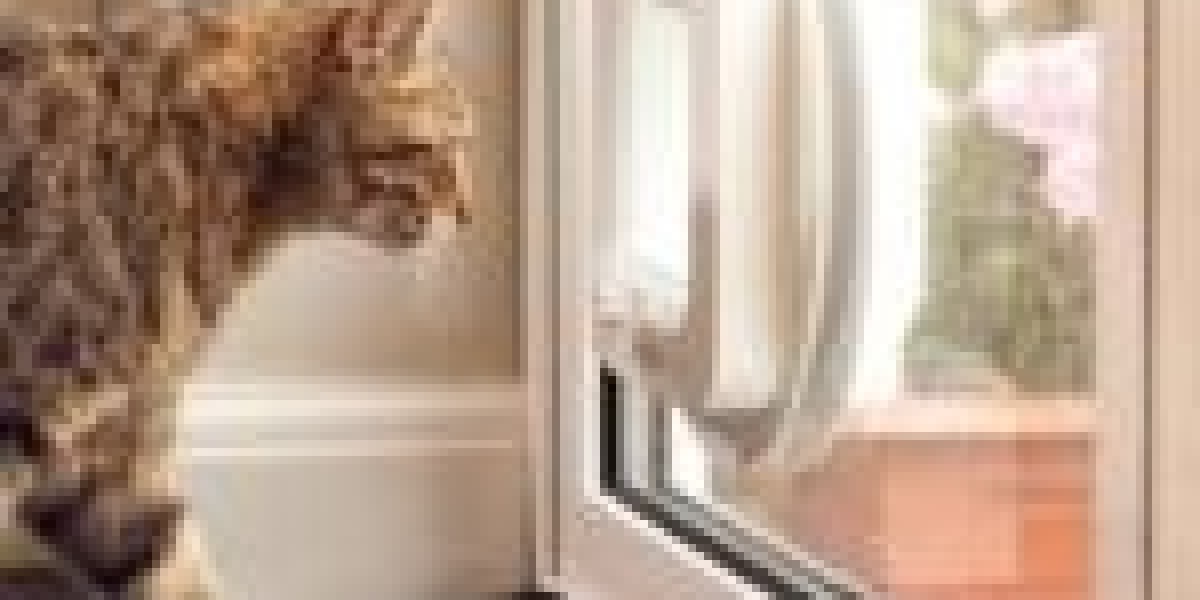 15 Terms That Everyone In The Outdoor Cat Door Installer Industry Should Know