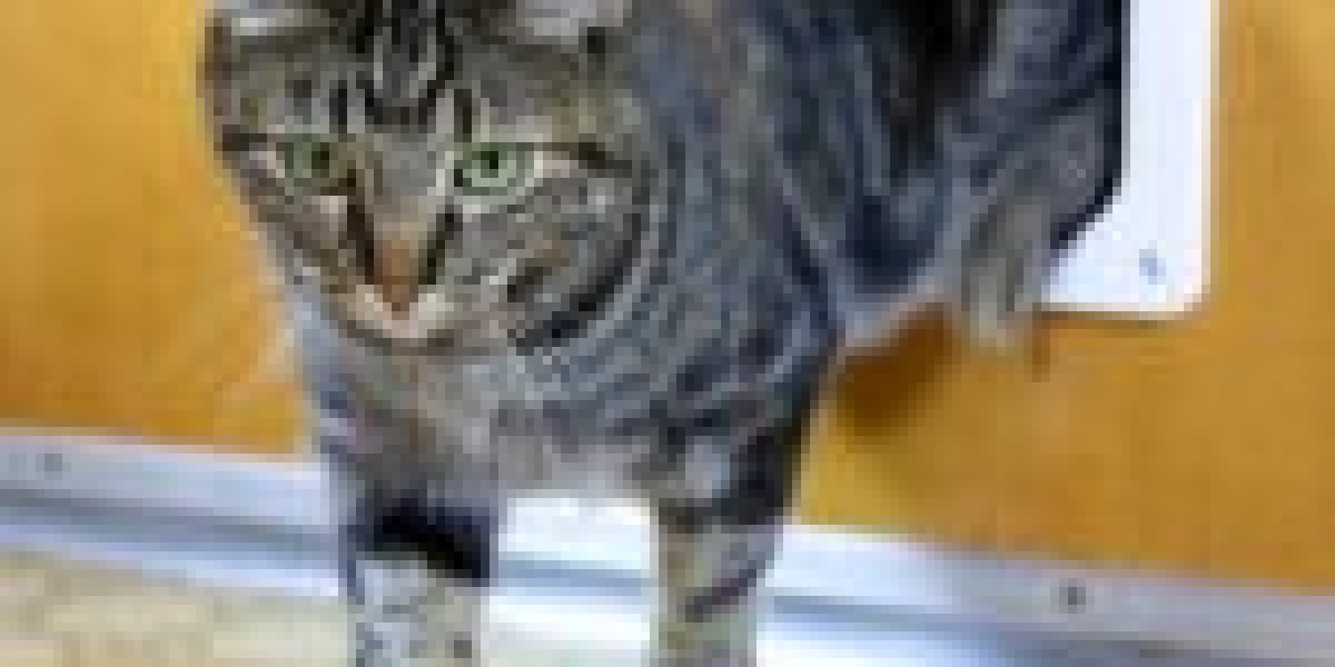 The Comprehensive Guide To Cat Window Flap Installer